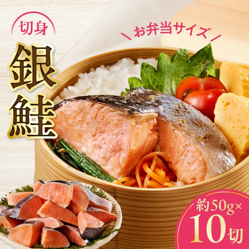【お弁当サイズ】銀鮭 切身 約50g×10切れ【小分け 漁師 手切り 500g さけ サケ 切り身 弁当 朝食 時短 訳あり サイズ不揃い 規格外 冷凍食品 スピード発送】 G3709