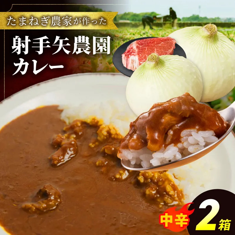 射手矢農園 特製カレー 2箱【本格スパイス たまねぎ なにわ黒牛 時短 冷凍カレー 冷凍食品 保存食 常備食 ピリ辛】 G3705
