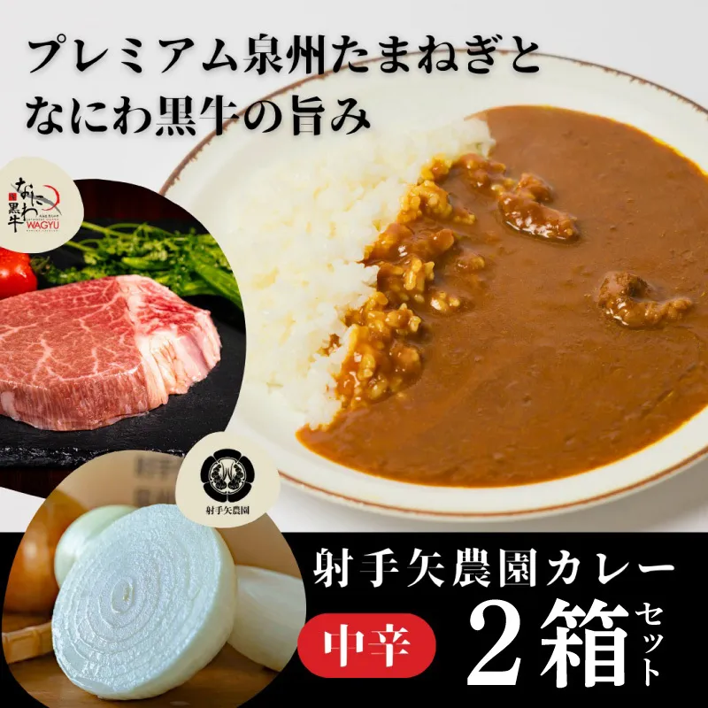 射手矢農園 特製カレー 2箱【本格スパイス たまねぎ なにわ黒牛 時短 冷凍カレー 冷凍食品 保存食 常備食 ピリ辛】 G3705
