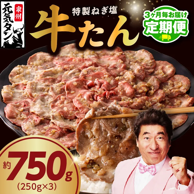 【定期便】ねぎ塩 牛たん 750g 小分け 250g×3【牛タン 牛肉 焼肉用 薄切り 訳あり サイズ不揃い 2026年3月＆6月発送 全2回】 099Z427