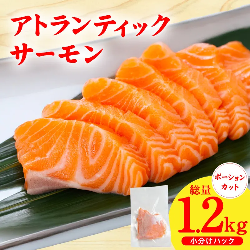 【スピード発送】アトランティックサーモン 1.2kg【小分け ポーション 柵切り 刺身 魚介 海鮮 さーもん 生食 訳あり サイズ不揃い】 G3561-1
