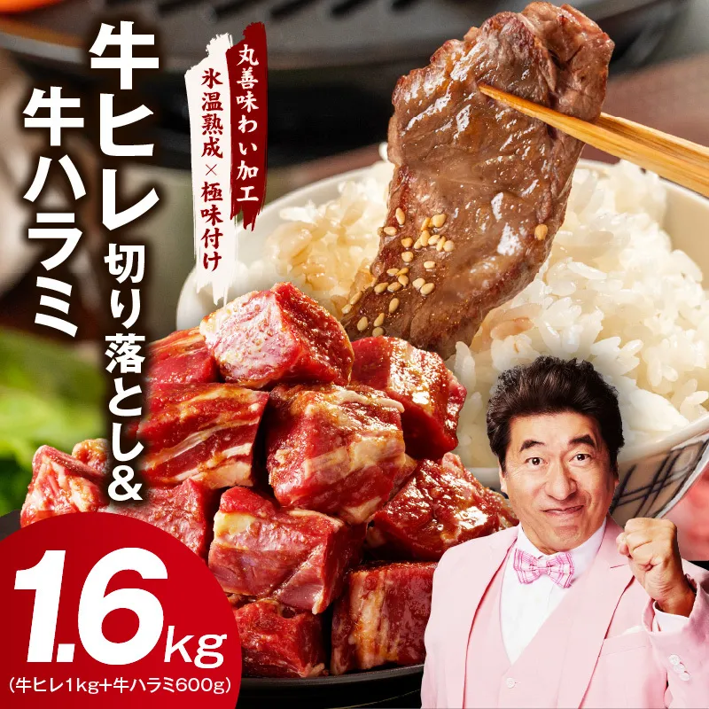 [氷温熟成×特製ダレ]牛ヒレ 1kg+牛ハラミ 600g 合計1.6kg[味付き 訳あり サイズ不揃い 小分け]