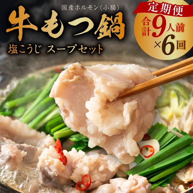 【定期便】牛もつ鍋セット 9人前 全6回【毎月配送コース 国産 牛肉 ホルモン 塩こうじ スープ付き モツ 鍋 高評価 冷凍 鍋セット 簡単調理】 099Z421