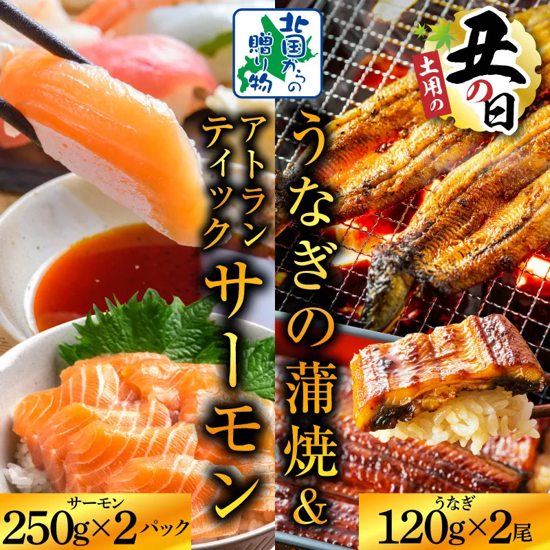 【7/26土用の丑の日】五郎藤 国産 関西風 地焼き有頭旨鰻 120g×2尾＆アトランティックサーモン 250g×2パック【食べ比べ】 020C503d