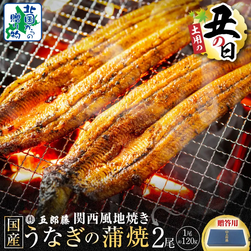 【7/26土用の丑の日】五郎藤 関西風地焼き 国産有頭旨鰻 120g×2尾 計約240g 【贈答用 うなぎ ウナギ 蒲焼き 炭火】 099H3442-2d