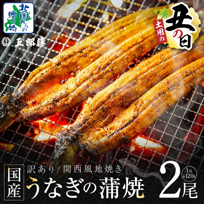 【7/26土用の丑の日】老舗「五郎藤」関西風地焼き 国産有頭旨鰻 計約240g前後【120g×2尾 うなぎ ウナギ 蒲焼き 炭火】 099H3442d