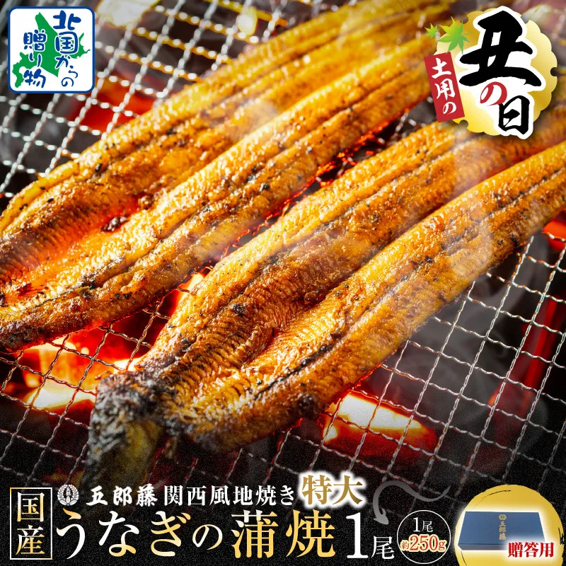 【7/26土用の丑の日】五郎藤 関西風地焼き 国産有頭旨鰻 250g×1尾 計約250g 【贈答用 特大 うなぎ ウナギ 蒲焼き 炭火】 099H3443-1d