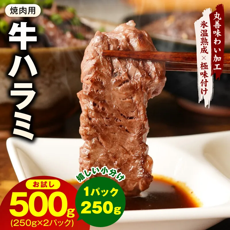 [お試し]牛肉 ハラミ 500g(250g×2P)[氷温熟成×極味付け]