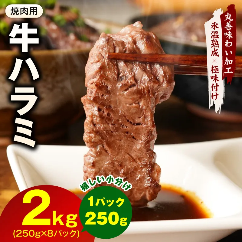 【氷温熟成×極味付け】牛肉 ハラミ 2kg（250g×8P） mrz0387