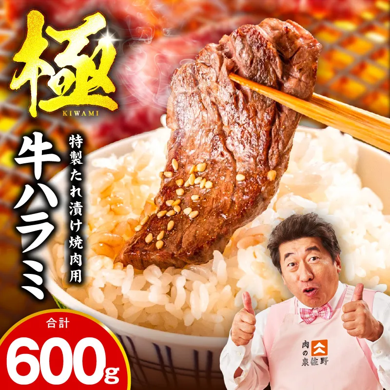 【お試し】牛肉 ハラミ 600g（300g×2P）【氷温熟成×特製ダレ】 mrz0388