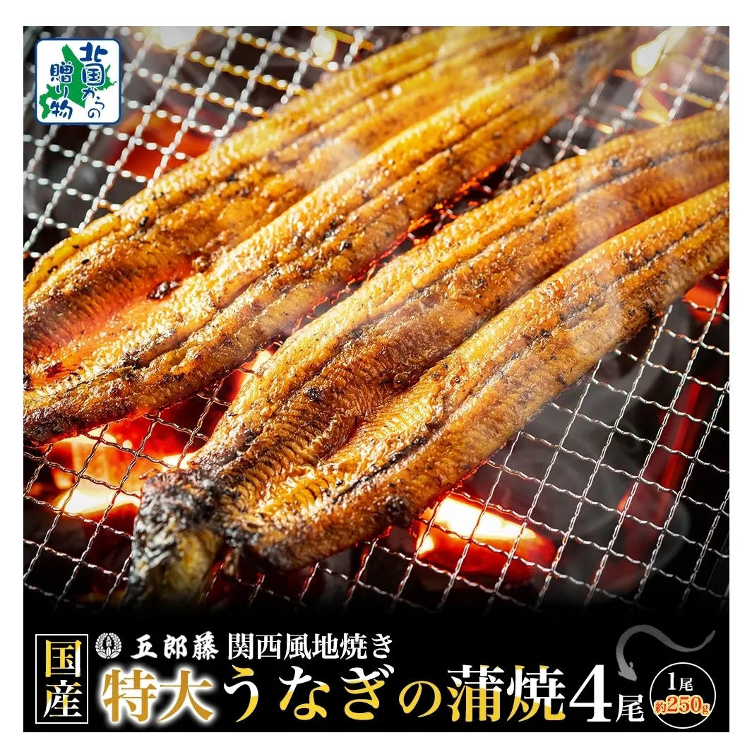 国産有頭旨鰻 250g×4尾 特大サイズ【関西風地焼き 老舗 五郎藤 うなぎ 1kg 小分け unagi ひつまぶし 簡単調理】 099H4344