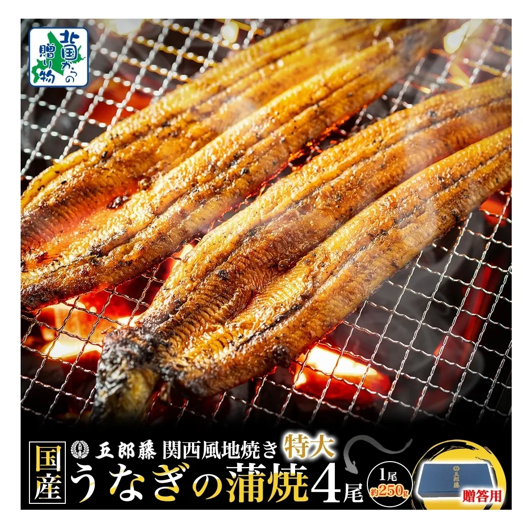 【贈答用】国産有頭旨鰻 250g×4尾 特大サイズ【関西風地焼き 老舗 五郎藤 うなぎ 1kg 小分け unagi ひつまぶし 簡単調理】 099H4345
