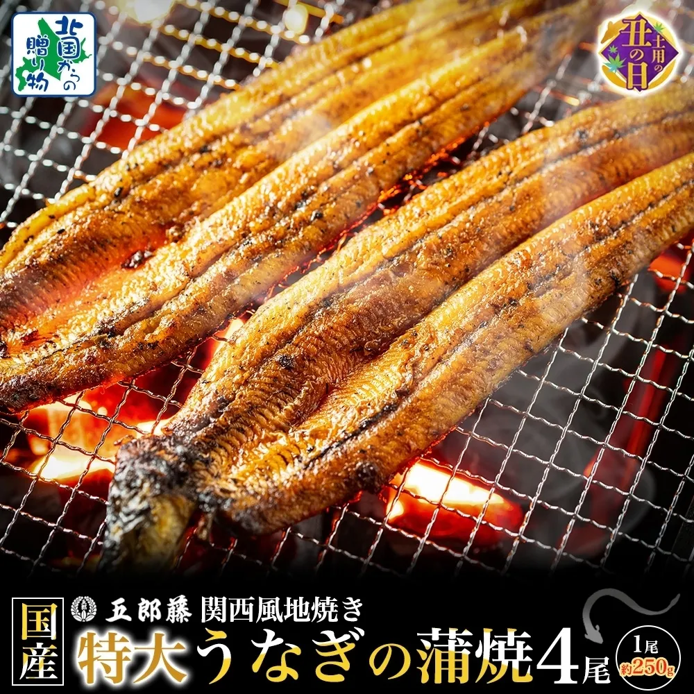 【7/26土用の丑の日】国産有頭旨鰻 250g×4尾 特大サイズ【関西風地焼き 老舗 五郎藤 うなぎ 1kg 小分け unagi ひつまぶし 簡単調理】 099H4344d