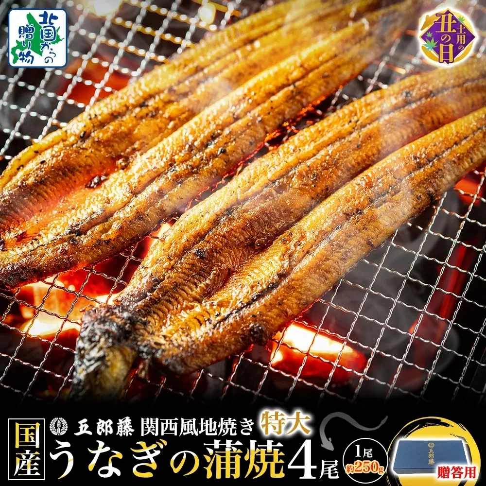【7/26土用の丑の日】＜贈答用＞国産有頭旨鰻 250g×4尾 特大サイズ【関西風地焼き 老舗 五郎藤 うなぎ 1kg 小分け unagi ひつまぶし 簡単調理】 099H4345d