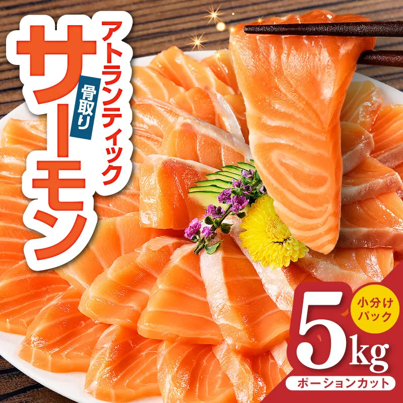 アトランティックサーモン 5kg【小分け ポーション 柵切り 刺身 魚介 海鮮 さーもん 生食 訳あり サイズ不揃い】 G3803-1