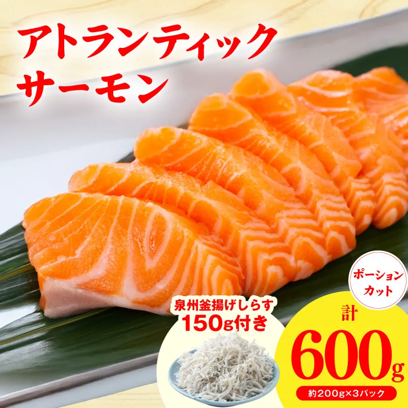アトランティックサーモン 600g+おまけしらす150g[小分け 200g×3P 柵切 しらす シラス sirasu 刺身 魚介 海鮮 さーもん 生食 お試し]