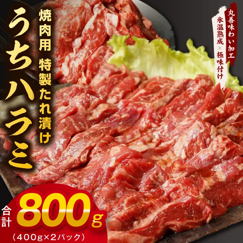 【氷温熟成×特製ダレ】希少部位 牛肉 うちハラミ 800g（400g×2）＜スピード発送＞ mrz0398