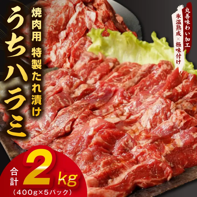 【氷温熟成×特製ダレ】希少部位 牛肉 うちハラミ 2kg（400g×5）＜スピード発送＞ mrz0399