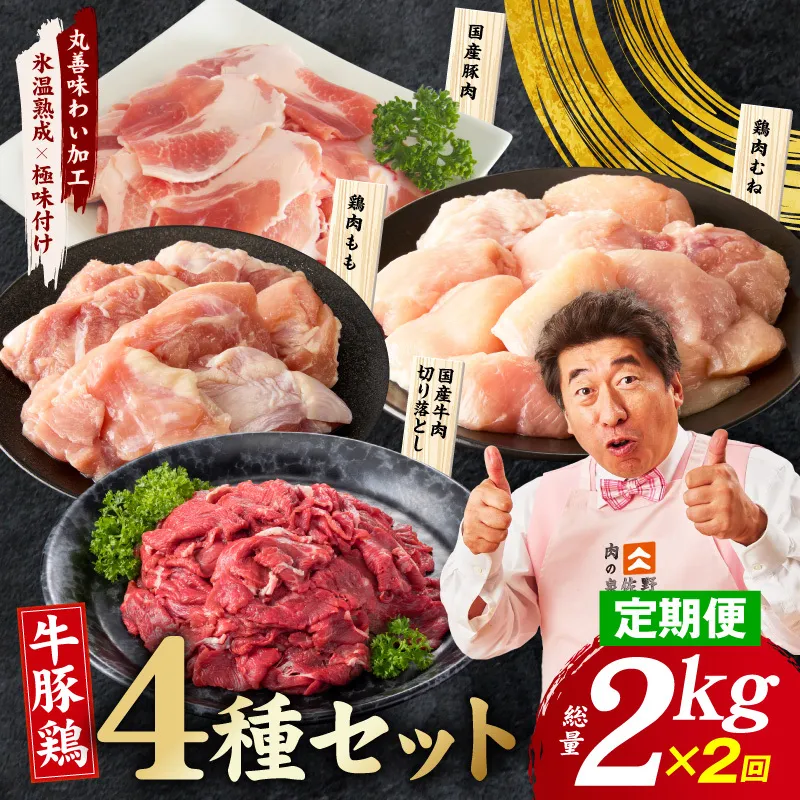 【定期便】国産 牛豚鶏 4種セット 2kg×2回【氷温熟成×極味付け 牛肉 豚肉 鶏肉 もも むね 食べ比べ 普段使い 味付き 小分け 訳あり サイズ不揃い 毎月配送コース】 mrzZ086