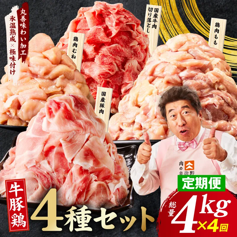 【定期便】国産 牛豚鶏 4種セット 4kg×4回【氷温熟成×極味付け 牛肉 豚肉 鶏肉 もも むね 食べ比べ 普段使い 味付き 小分け 訳あり サイズ不揃い 毎月配送コース】 mrzZ089