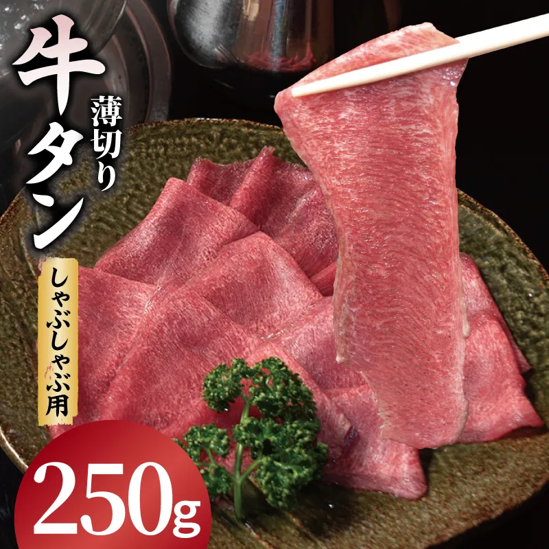 薄切り 牛タン しゃぶしゃぶ  鍋 小分け お試し少量パック（250g×1P） 099H4375