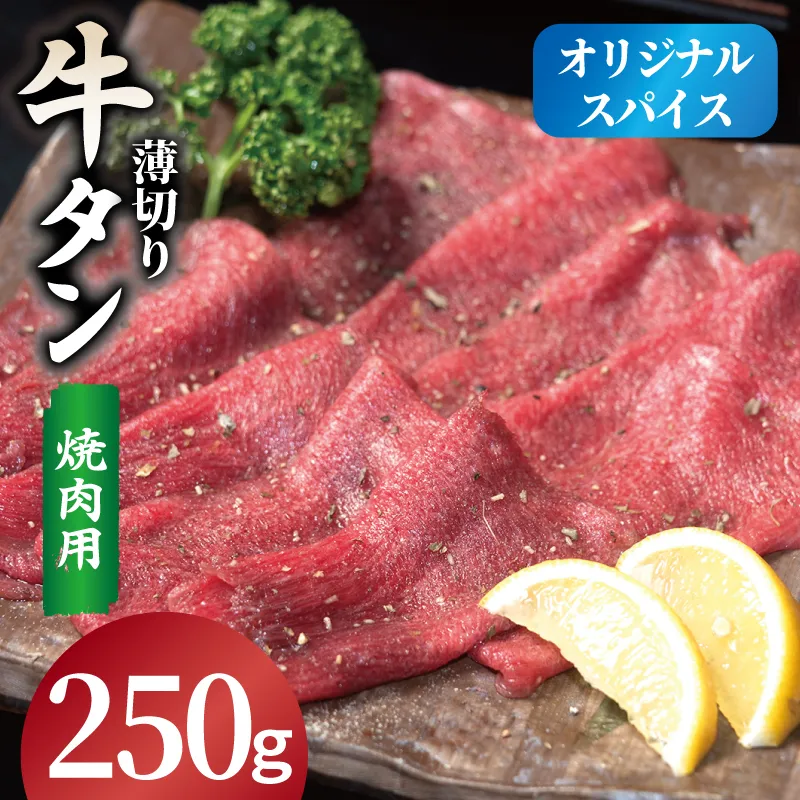 焼肉 牛タン 薄切り オリジナルスパイス  小分け お試し少量パック（250g×1P） 099H4377