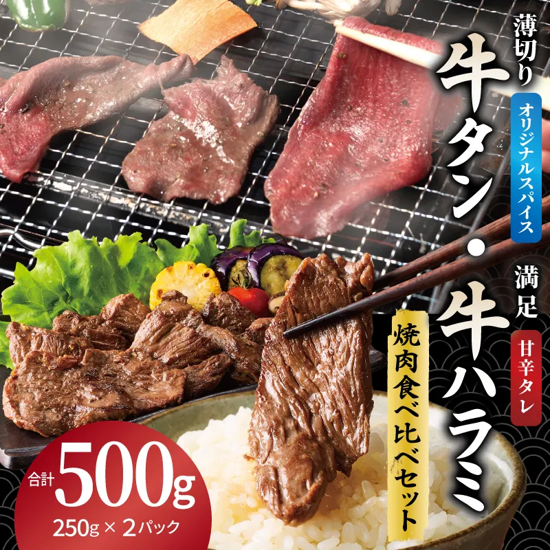 牛タン焼肉 オリジナルスパイス＆牛ハラミ甘辛 食べ比べ焼肉セット 合計500g（250g×2P） 099H4380