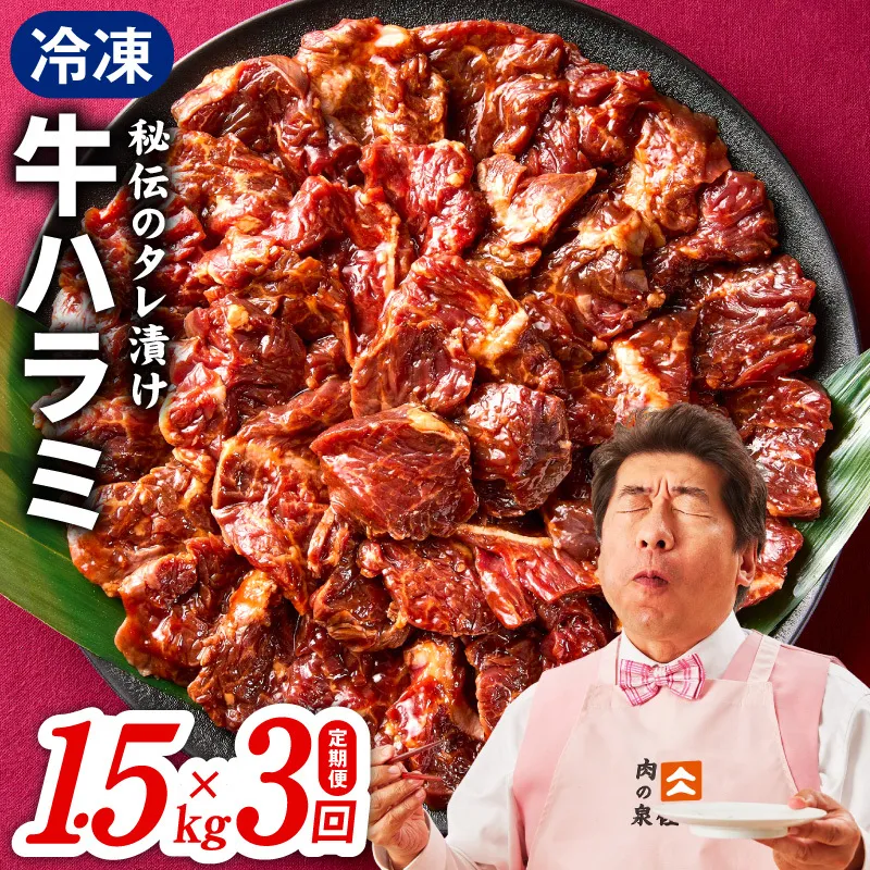 【定期便】牛ハラミ肉 1.5kg×全3回【小分け 300g×5P 秘伝の赤タレ 味付き 焼肉 訳あり サイズ不揃い】 099Z566