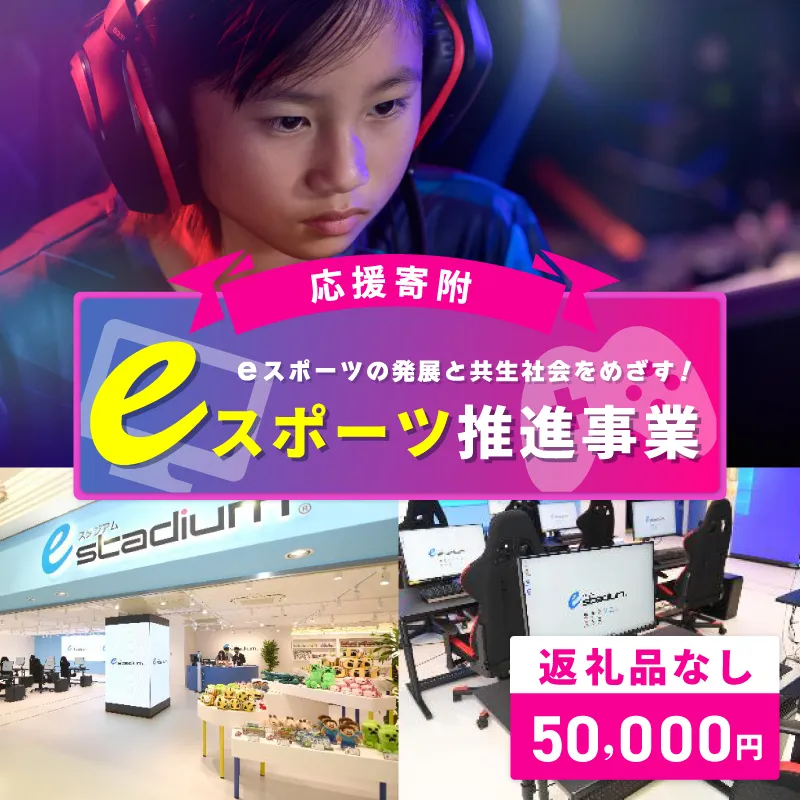 【返礼品なし】eスポーツの発展と共生社会の実現をめざす！eスポーツ推進応援寄附（大阪府泉佐野市） ON0014