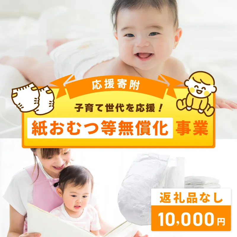 【返礼品なし】子育て世代を応援！紙おむつ等無償化応援寄附（大阪府泉佐野市）　 ON0017