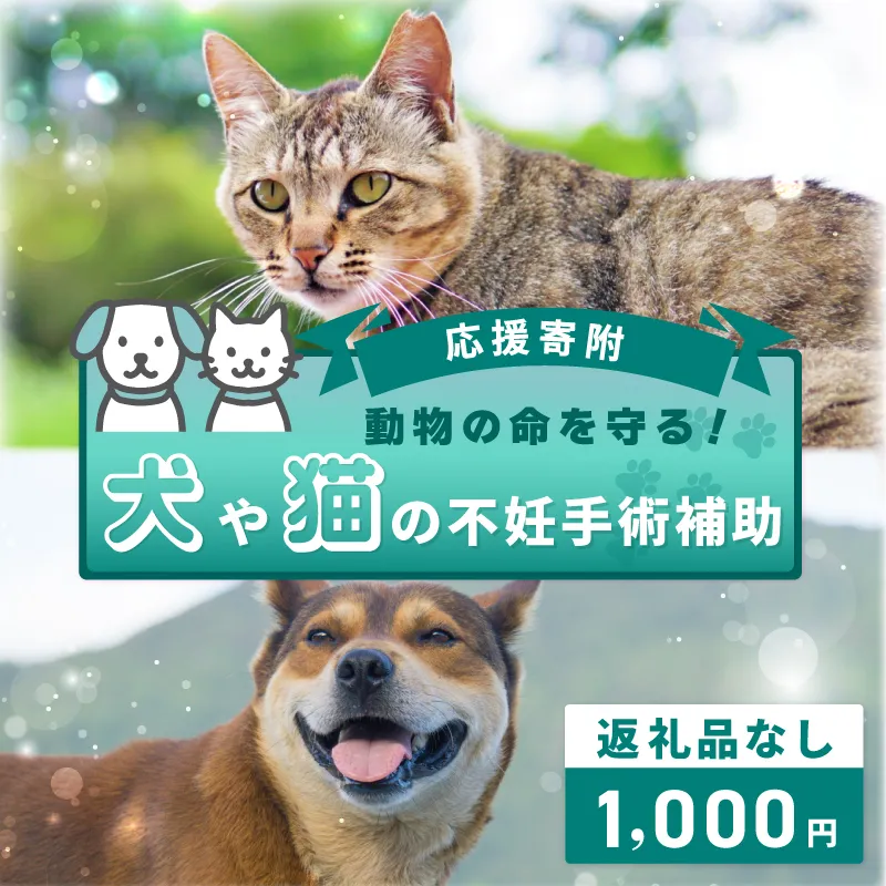 【返礼品なし】動物の命を守る！犬や猫の不妊手術補助 応援寄附（大阪府泉佐野市）　 ON0026
