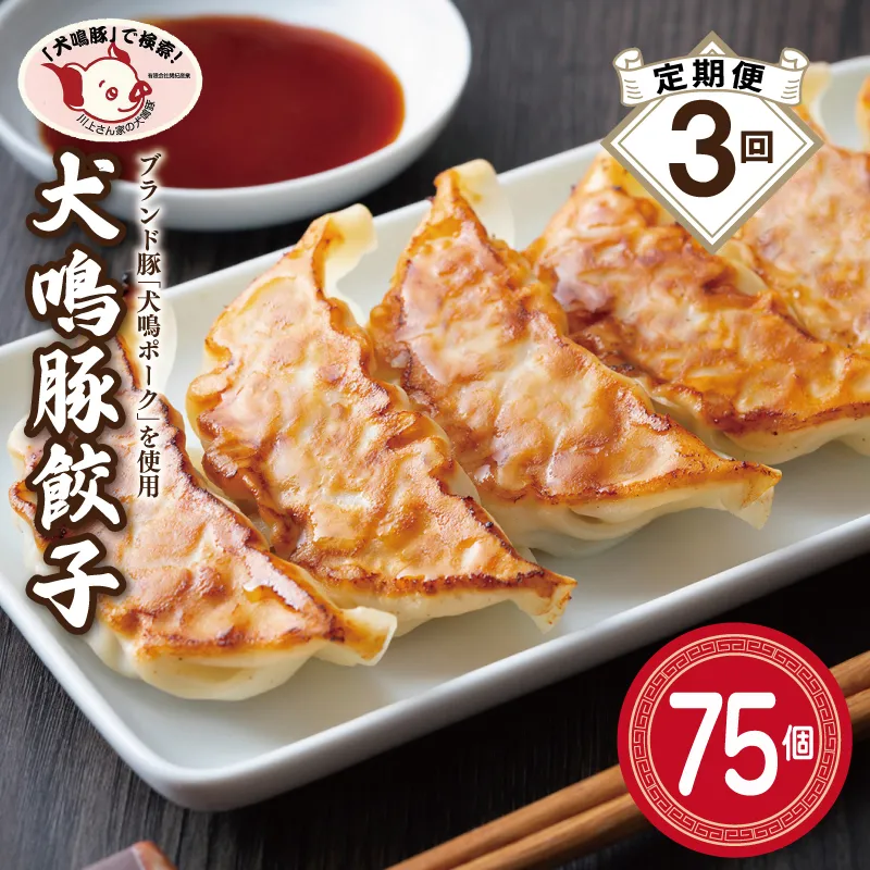 【泉佐野ブランド豚】犬鳴豚餃子 75個×3回【国産 豚肉 ぶたにく 定期便 犬鳴ポーク 焼くだけ 人気 総菜 冷凍】 099Z554