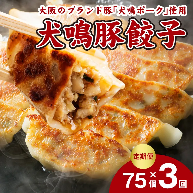 【泉佐野ブランド豚】犬鳴豚餃子 75個×3回【国産 豚肉 ぶたにく 定期便 犬鳴ポーク 焼くだけ 人気 総菜 冷凍】 G5382