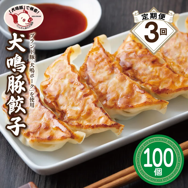 【泉佐野ブランド豚】犬鳴豚餃子 100個×3回【国産 豚肉 ぶたにく 定期便 犬鳴ポーク 焼くだけ 人気 総菜 冷凍】 099Z556