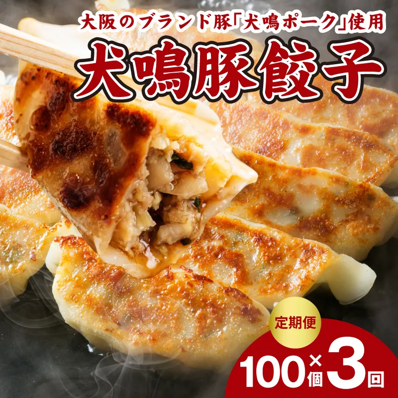 【泉佐野ブランド豚】犬鳴豚餃子 100個×3回【国産 豚肉 ぶたにく 定期便 犬鳴ポーク 焼くだけ 人気 総菜 冷凍】 G5384