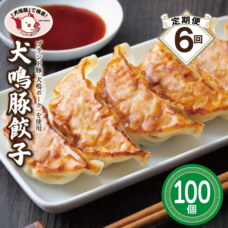 【泉佐野ブランド豚】犬鳴豚餃子 100個×6回【国産 豚肉 ぶたにく 定期便 犬鳴ポーク 焼くだけ 人気 総菜 冷凍】 099Z557