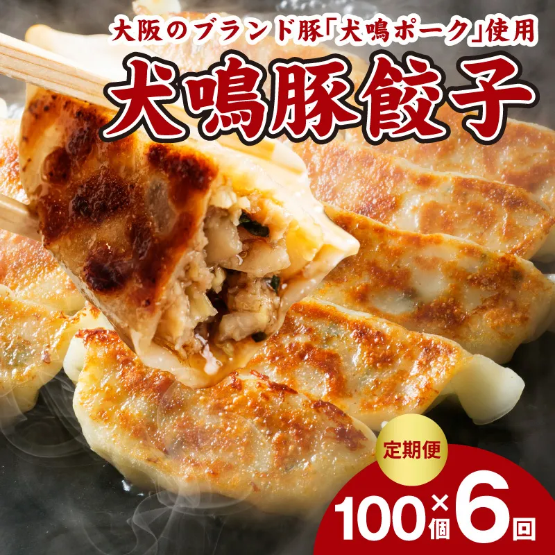 【泉佐野ブランド豚】犬鳴豚餃子 100個×6回【国産 豚肉 ぶたにく 定期便 犬鳴ポーク 焼くだけ 人気 総菜 冷凍】 G5385