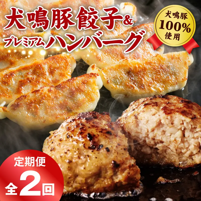 【泉佐野ブランド豚】犬鳴豚餃子 75個／手作りプレミアムハンバーグ（10個入り） 全2回【国産 豚肉 ぶたにく 定期便 食べ比べ 犬鳴ポーク 焼くだけ 人気 総菜 冷凍】 099Z592