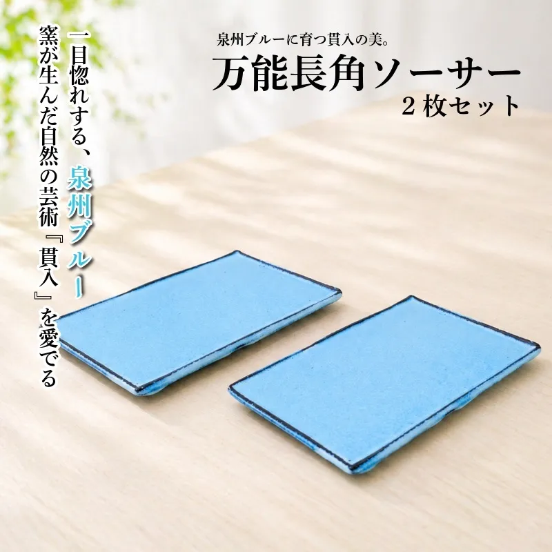 泉州ブルーに育つ貫入の美。万能長角ソーサー（2枚セット） 099H4536