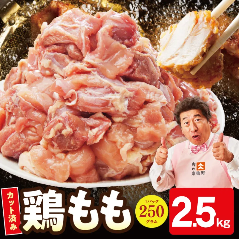 【小分け】国産鶏もも肉 2.5kg（250g×10P） 【カット済み 氷温熟成×極味付け 簡単調理 訳あり サイズ不揃い 鶏肉 とり スピード発送 】 mrz0446