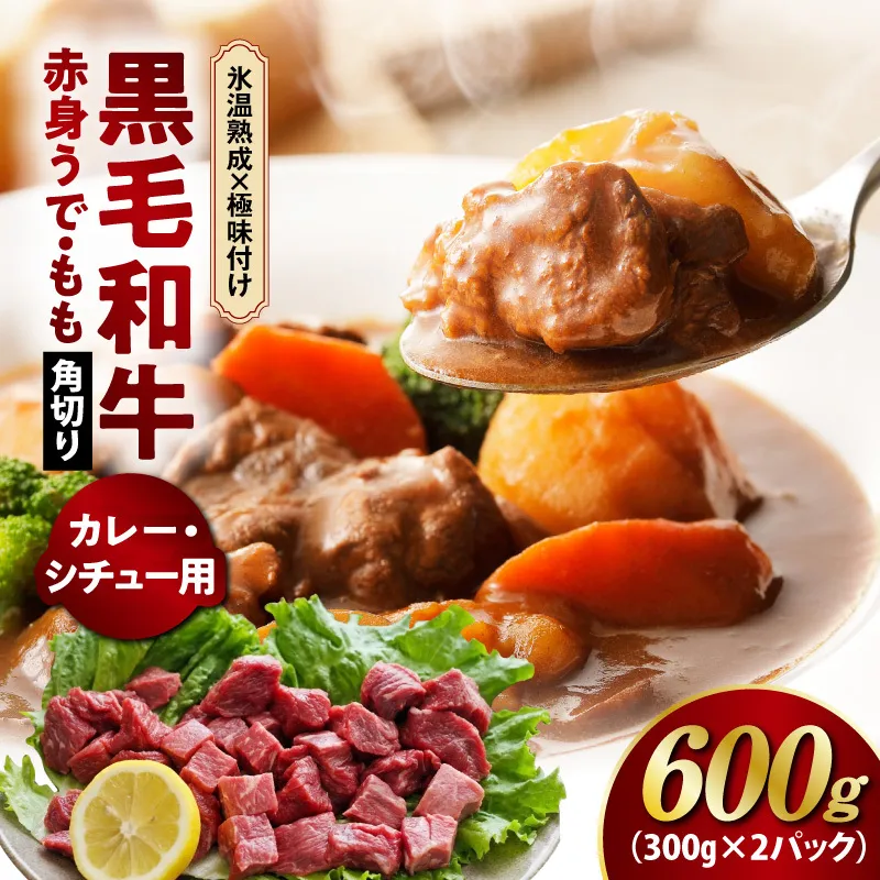【氷温熟成×極味付け】黒毛和牛 赤身 うで・もも 角切り 600g【煮込み用 300g×2P 小分け 訳あり サイズ不揃い 簡単調理 カット済み カレー シチュー】 mrz0437