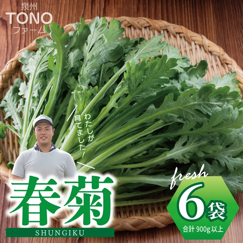 【先行予約】TONOファーム 春菊 6袋(合計900g以上) 099H4537