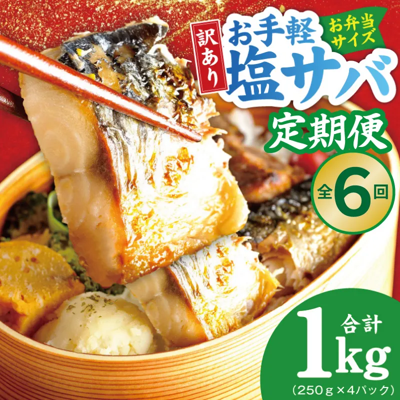 【定期便】塩さば 1kg(250g×4P)全6回【お弁当サイズ 生活応援 サバ 小分け 青魚 塩鯖 塩サバ 切身 塩焼き 焼きさば 焼き鯖 人気 冷凍 冷凍食品 おかず 惣菜 訳あり サイズ不揃い】 099Z577
