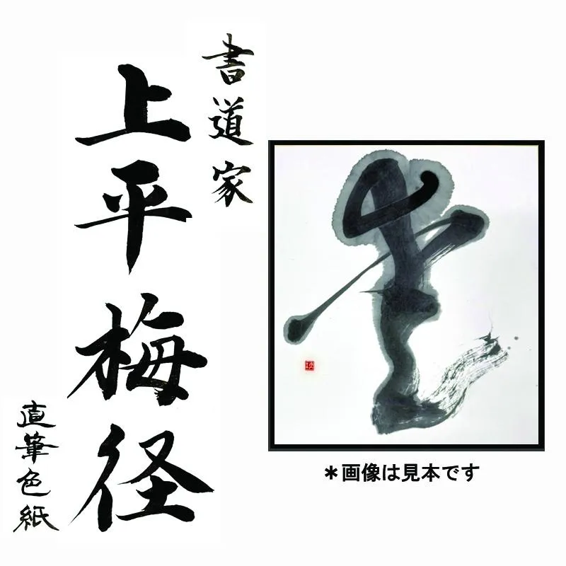 書道家による直筆書 上平梅径 直筆書(白1字) 099H4649