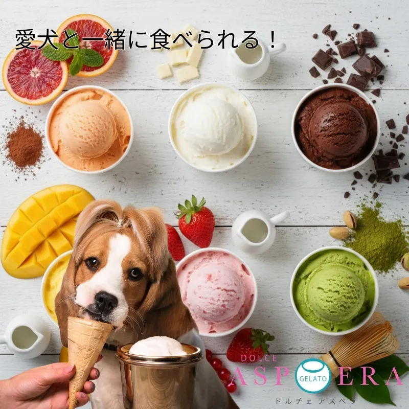 【愛犬と一緒に楽しむ】 贅沢 ジェラート 12個 セット 詰め合わせ 無添加 (季節のジェラート6個 ＆ わんちゃん専用6個) 015B657