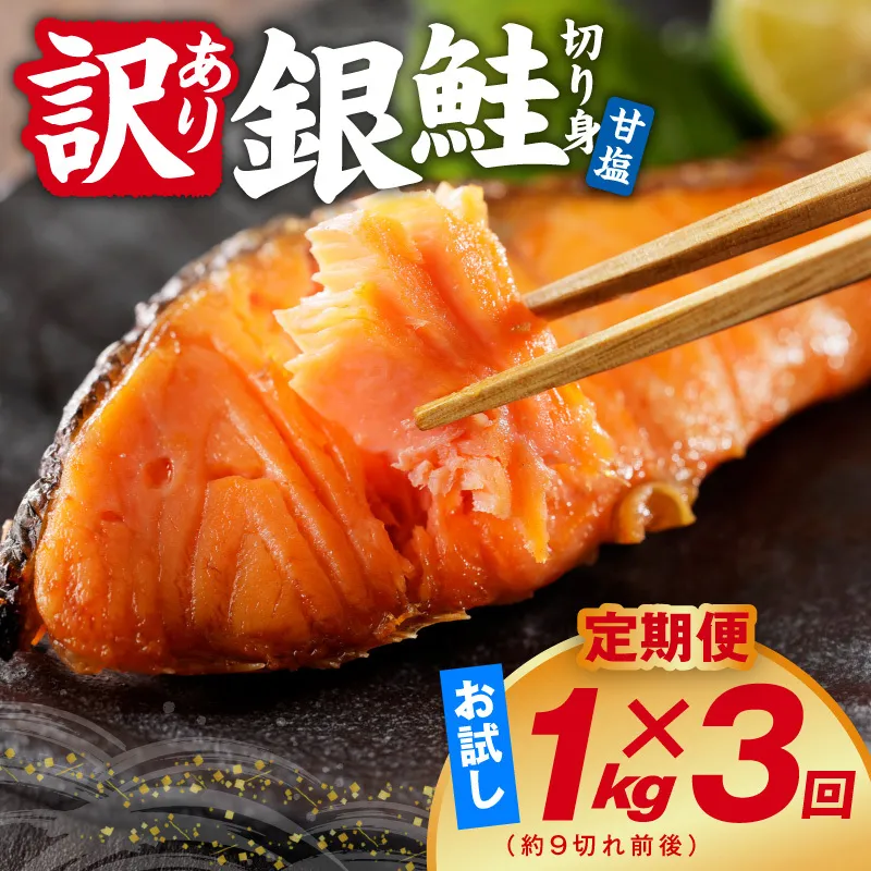 【定期便】銀鮭 切り身 1kg(約9切れ前後) 全3回【訳あり 規格外 甘塩 バラ凍結 海鮮 魚介 鮭 さけ しゃけ お弁当 朝食 おかず 簡単調理】 G4975