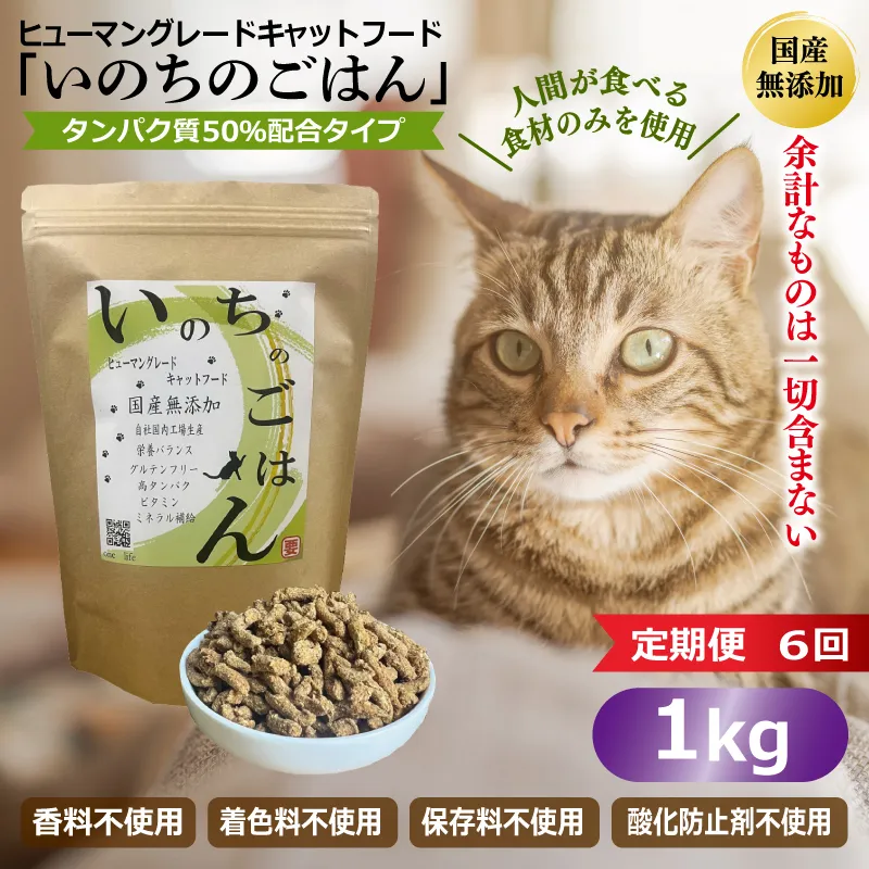 【定期便】国産無添加 キャットフード 1kg×全6回 「いのちのごはん」タンパク質 50％配合タイプ【猫 ねこ ペットフード チキン 手作り ヒューマングレード 国産】 099Z638