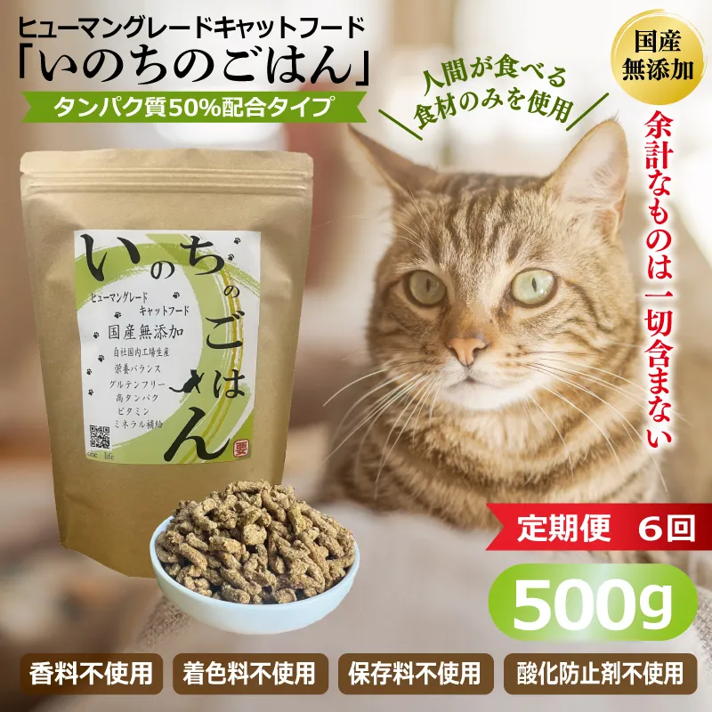 【定期便】国産無添加 キャットフード 500g×全6回 「いのちのごはん」タンパク質 50％配合タイプ【猫 ねこ ペットフード チキン 手作り ヒューマングレード 国産】 099Z639