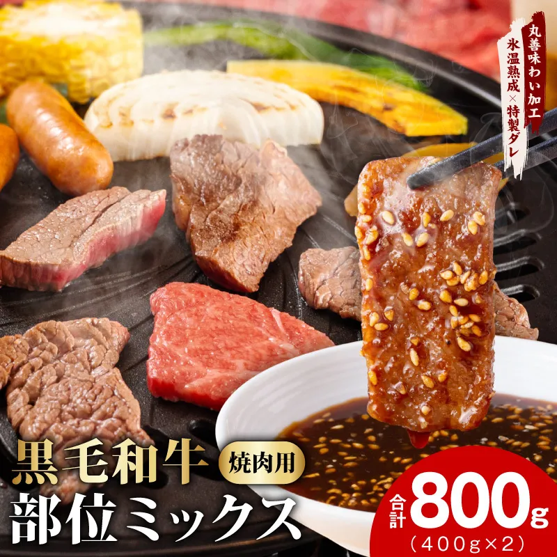 【スピード発送】黒毛和牛 部位ミックス 焼肉用 800g【400g×2P 氷温熟成×特製ダレ 小分け 牛肉 黒毛和牛 簡単調理 訳あり】 mrz0508