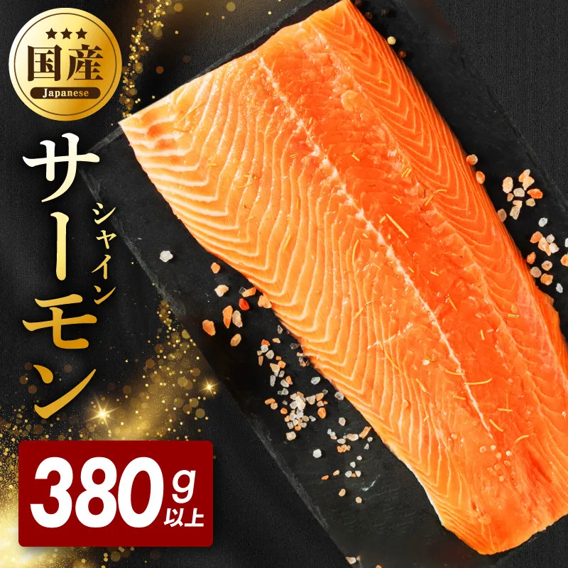 シャインサーモン 380g以上【国産 小分け さーもん 鮭 さけ シャケ しゃけ 冷凍 サイズ不揃い 訳あり】 G5602-2